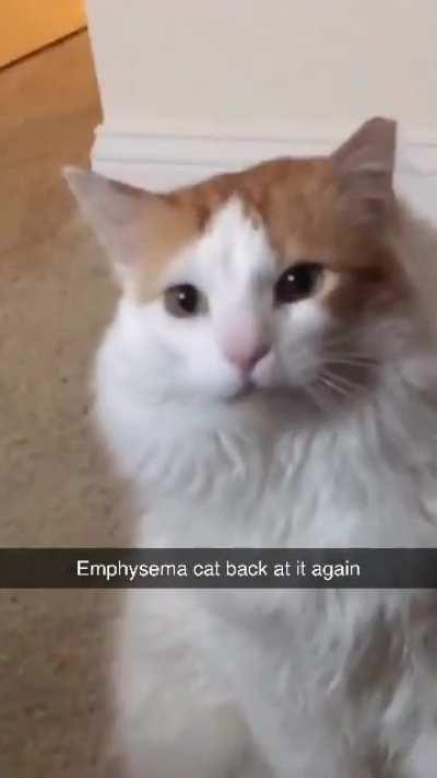 nothing like waking up to this everyday