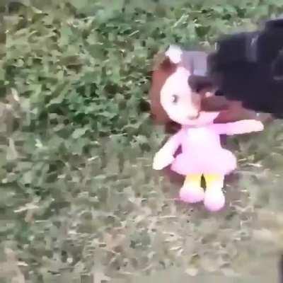 Dora?