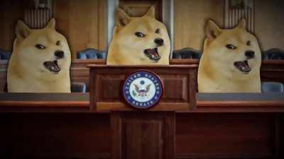 le political activism has arrived