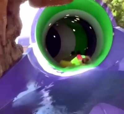 First day at the work 