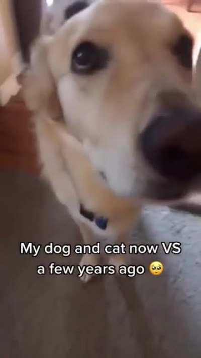 I want what they have