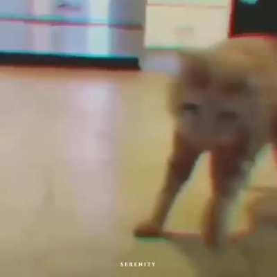 Ming Ming Nyo Sabog Na.MP4