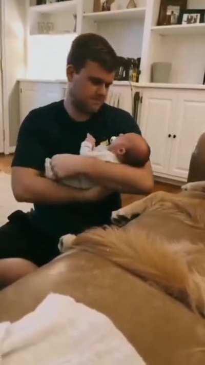 Let the expert take care of this