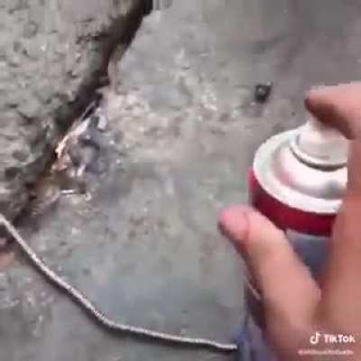 Filho da puta manokk