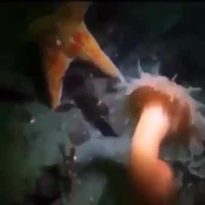 I was looking for the sports channel and I 