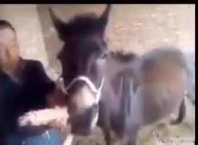 Meh when Mary wanna😳