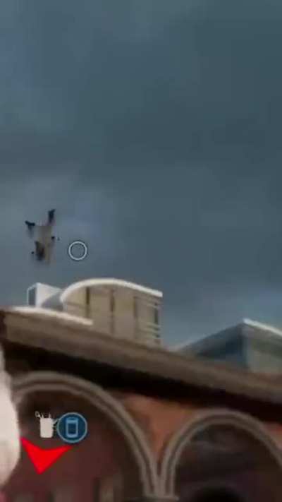 Stefano went flying. 🦅