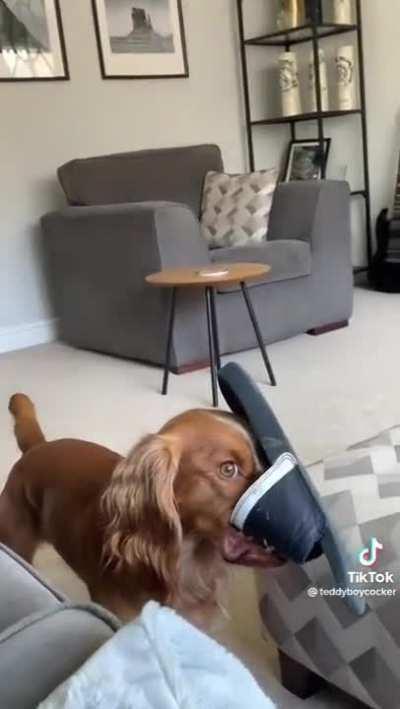 Ring around the rosie, a pocket fu....