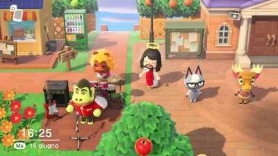 Just another ordinary day on my island 😂😂😂