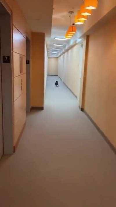 You can run, that's okay! <3