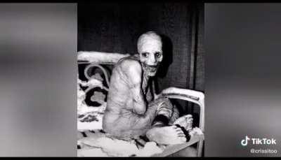 solo he dormido 10 minutos pero estoy fresco como una rosa😎👌