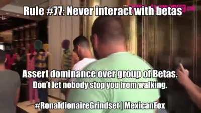 Sigma Rule 993 Don't Interact With Betas #Sigmaquintillionairegrindset