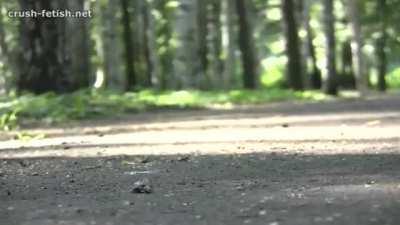 Sandra Snail Walkover