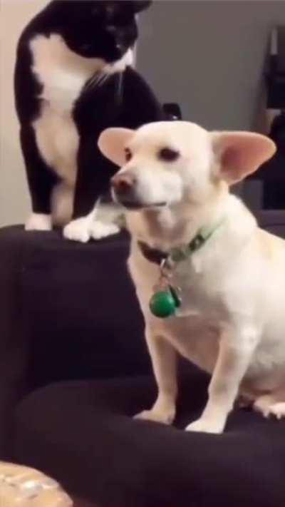 Tony Tring To Watch TV