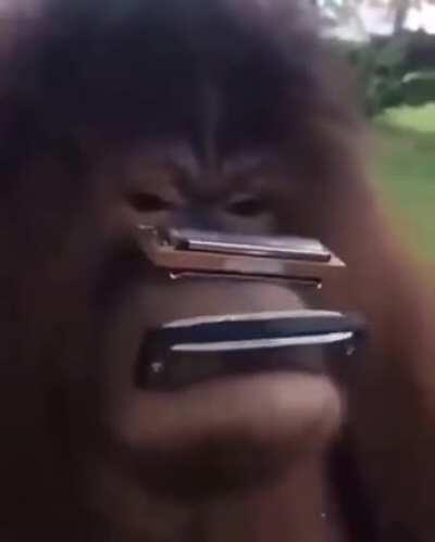 jaime altozano analizame esta