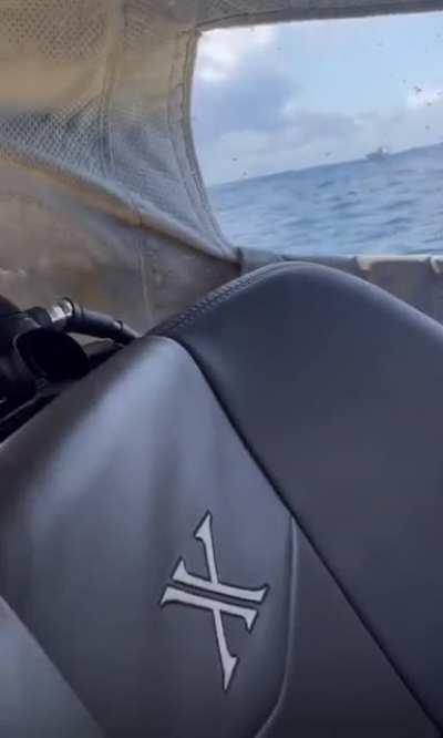 Man in Personal Submarine finds thousands of Baby Jellyfish!