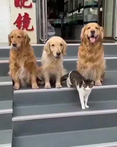 Come here Let's take pictures. The press is waiting for us outside