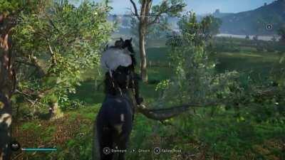 [ Assassin's Creed Valhalla] Parkour Horse