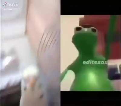 Sedo'nun yayın başlangıcında chat ve Sedo #loweffortamabanlamayinnolur