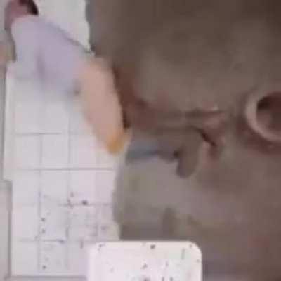 MRW I've finished eating all the Taco Bell