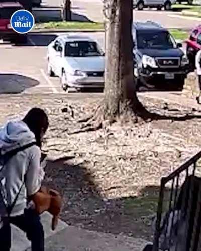 Pitbull attacks pregnant woman.