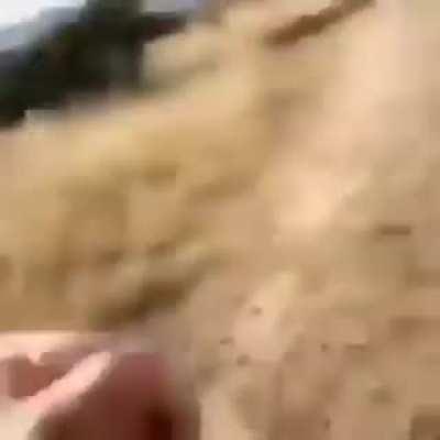 por que se asusta tanto xd?