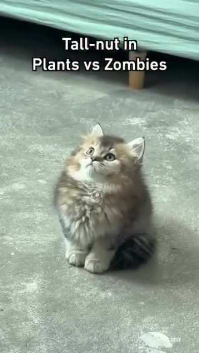 Guarding your farm 😼