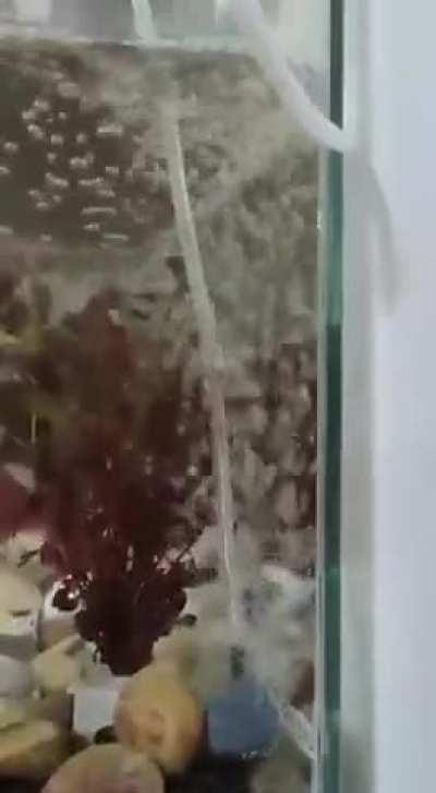 When You've Got Al Day