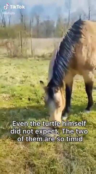 Emotional Damage..... Lol.