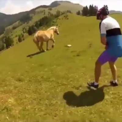WCGW trying to pet wild horses