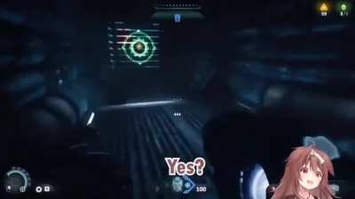 Look at this funny dog