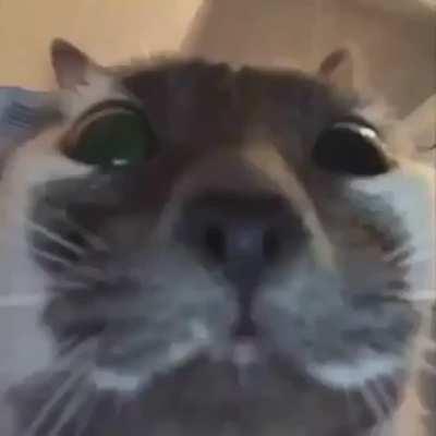 Men not at work (it's a weekend)