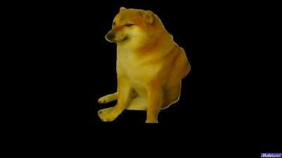 i put a .png of cheems thru an image to music converter and the result fucking killed me