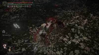 Certified Soulsborne Moment