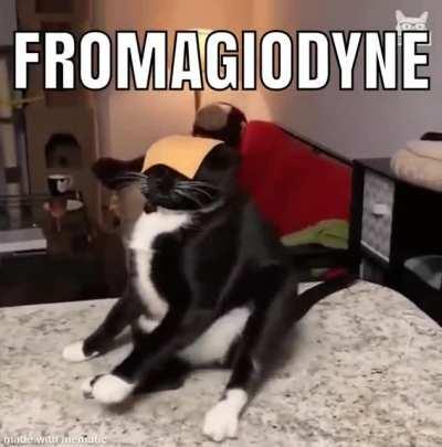 Shoulda used Makarakarn, dipshit