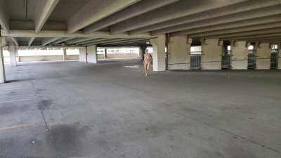 Security we have a streaker