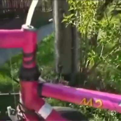 From where can I order this bicycle? Hungarian engineering at its finest...