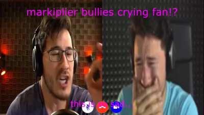 markiplier bullies crying fan