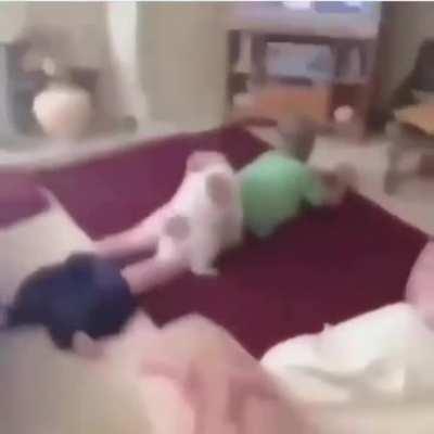 broma sale mal (mi hermano es furro)