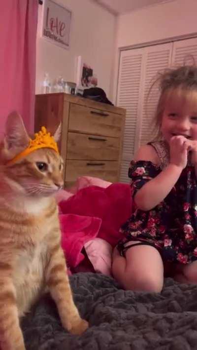 Princess meow