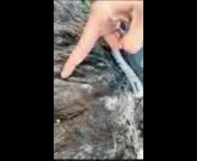 Wordington Geography