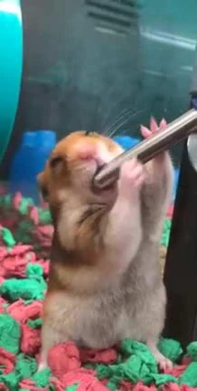 Oh jeez. (Hope this fits here)