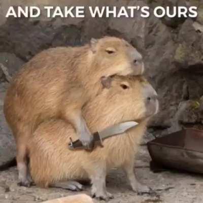 ITS ABOUT DRIVE 🚗 ITS ABOUT POWER 💪