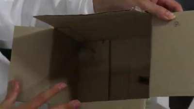 human cake reuploaded (1080p)