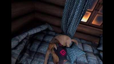 Met a happy happy guy oh just a happy happy dog in Carve Snowboarding