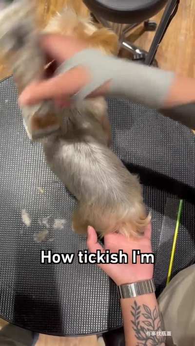 Snake it till you make it