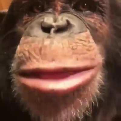 hey bro you want some chunky monkey?