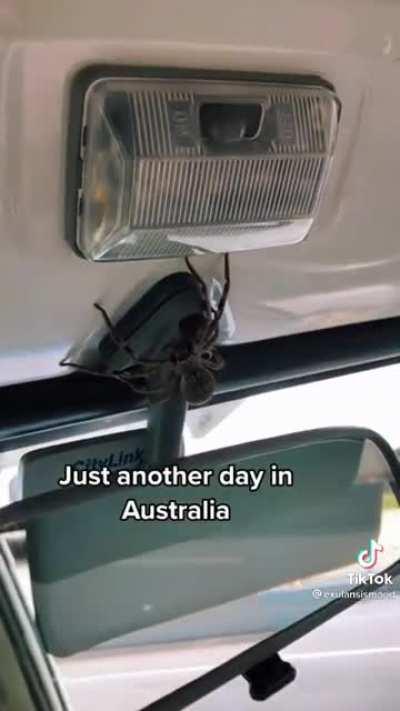 camper, guarda questo video e a 1,317mln di iscritti fai un giorno in Australia