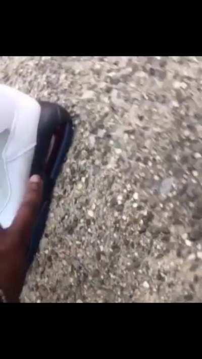 When u order your first batch not knowing jack shit...