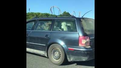 We Going to wonderland!